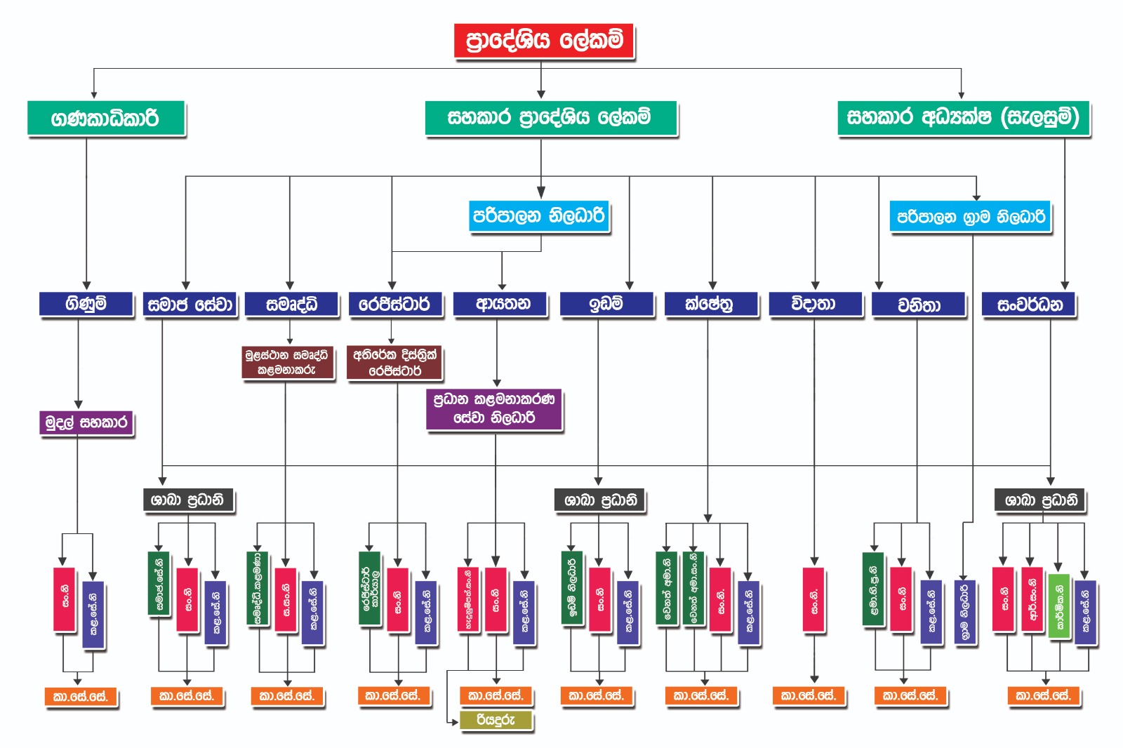 සංවිධාන සටහන.jpeg